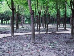 -嘉北郊野公园