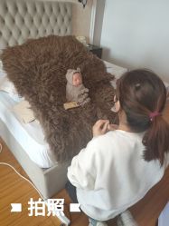 婴儿服务-12星座母婴养护月子中心(浦东店)