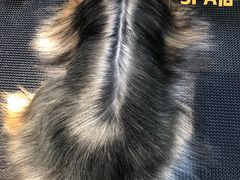 -Double Rui宠物酒店