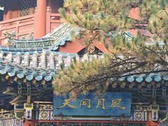 -迎泽公园
