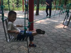 -原山国家森林公园