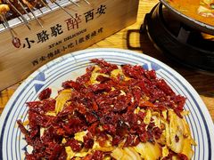 -福苗小骆驼烧烤(莲湖路店)