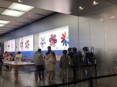 -Apple零售店(成都太古里店)