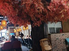 -雲蜀龙阁·金牌水煮鱼(方庄店)