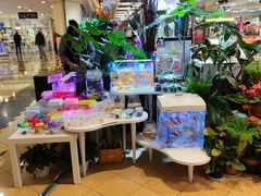 -蓝色港湾停车场