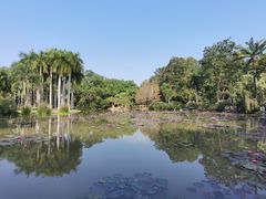 -中国科学院西双版纳热带植物园