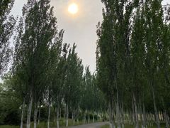 -东郊湿地公园