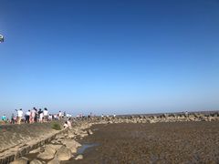 -南汇嘴观海公园