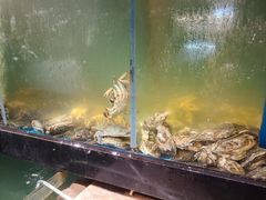 -蛙太牛牛肉海鲜自助火锅(台江万达店)