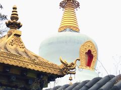-护国法轮寺