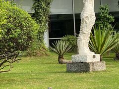 -广州人民艺术中心