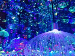 -天津梵高星空艺术馆(天河城旗舰店)