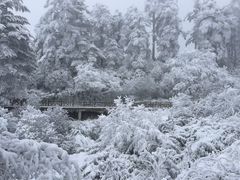 -瓦屋山景区