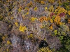 -玉渡山自然风景区