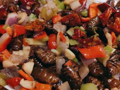 爆炒蚕蛹-燕青小馆(东园大厦店)