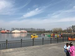 -上海长兴岛郊野公园