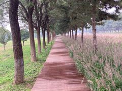 -汉长安城未央宫国家考古遗址公园