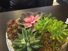 -肆兮眼镜·蔡司·徕卡战略合作店(大坪店)