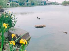 -上海怡沁园度假酒店