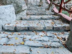 -海南热带雨林国家公园吊罗山景区