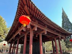 -碑林公园