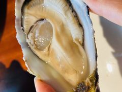 诺曼底珍珠-Oyster Talks 四度蚝法餐厅
