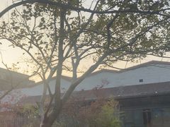 -上海崇明金茂凯悦酒店