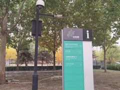 -大望京公园