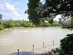 -江心屿景区