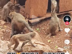 -昆明动物园