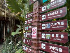 -西双版纳原始森林公园