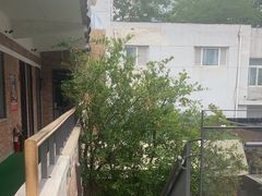 -羊门客在·烤盐池滩羊·川菜