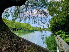 -沙家浜风景区