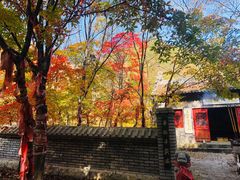 -龙道沟景区