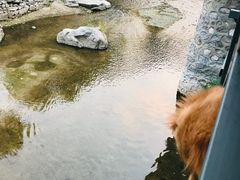 -北京水岸山吧度假村(雁栖镇店)