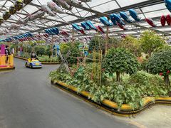 -南宫五洲植物乐园