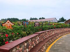 -北纬44度·金珠花海休闲农业旅游景区