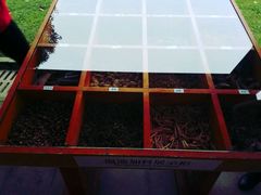 -中铁花水湾四季温泉谷