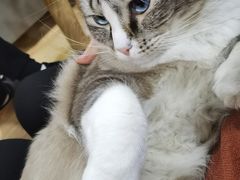 -白兔子密室(长寿路店)