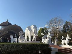 -清迈夜间动物园