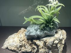 -大连自然博物馆