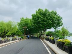 -宜兴龙背山森林公园