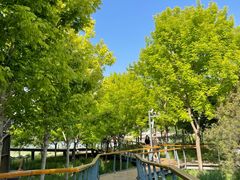 -东郊湿地公园