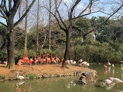 -上海野生动物园