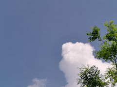 -星鸿社重庆老火锅