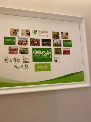 -美丽田园