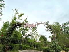 -洛阳宴·洛阳菜(南昌路店)