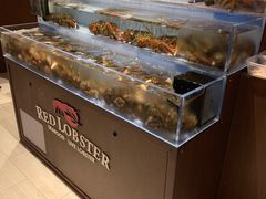 -RED LOBSTER(环球影城大阪店)