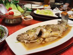 野生大鲈鱼-青岛蓝海大饭店·渔歌舫(李沧店)