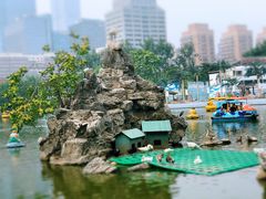 -团结湖公园